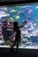 pretty little girl taking pictures of tropical fish in a giant aquarium