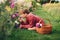 Pretty little kid girl playing outside in flower garden