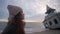 Pretty mixed ethnic woman standing, looking at old flooded leaning wooden house, chapel washed by sea waves, abandoned