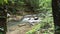 pretty mountain stream in the summer season, Kamenica, Bosnia and Herzegovina