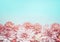 Pretty pastel pink flowers border on pale blue background, top view