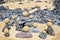 Pretty pile of wooden pebbles and balls of sand facing the sea