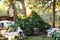 Pretty pink blossoms on tree with outdoor garden party going in background. Guests are blurred and unrecognizable in background