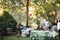 Pretty pink blossoms on tree with outdoor garden party going in background. Guests are blurred and unrecognizable in background