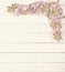 Pretty Pink Cherry Blossom Limbs on Rustic White Board Background with room or space for copy, text.