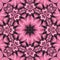 Pretty pink floral mandala