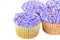 Pretty Purple Cupcakes on white with copy space.