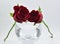 Pretty Red roses, symbol of love and wine glass