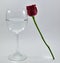 Pretty Red roses, symbol of love and wine glass