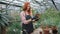 Pretty redhead woman gardener in a large flower greenhouse working concentrated she planted a flower in a pot. Shot on