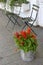 Pretty scene on sidewalk of downtown area, with inviting black metal seats for relaxing, potted plants and window boxes