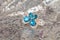 Pretty shining blue gemstone hairpin butterfly shape