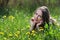 Pretty smiling girl relaxing outdoor in flowers