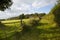 Pretty Somerset farmland view