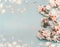 Pretty spring blossom on light blue background with bokeh, top view, pastel color