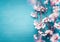 Pretty spring cherry blossom branches on turquoise blue background with copy space for your design. Springtime holidays and nature