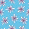 Pretty star shaped flowers on blue background.