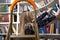 Pretty student stands on a stepladder in the library to find the right book. Woman in public library