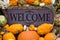 Pretty Up Close Welcome Sign Among Pumpkins, Gourds, Squash and Corn for Autumn Display
