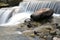 Pretty waterfall on rock stones