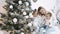 Pretty woman and daughters in white clothes sitting at Christmas tree at home