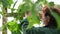 Pretty woman in eye glasses collects cucumbers in greenhouse on farm indoors.