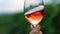 A pretty woman is holding a glass of red wine at sunset in the vineyard. Female hand slightly shaking glass with red