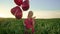 Pretty woman in retro red dress posing with heart-shaped balloons in green field. Girl in straw vintage hat or beret