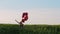 Pretty woman in retro red dress posing with heart-shaped balloons in green field. Girl in straw vintage hat or beret