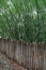 Pretty wood fencing with bamboo background