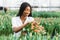 Pretty young african gardener portrait in greenhouse