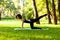 Pretty young girl in city park practices yoga in harmony with nature. Peaceful green landscape