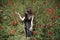 Pretty young lady sitting among poppies field