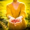 Pretty, young woman collecting rosehip fruit