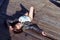 Pretty young woman lying on the wooden roof