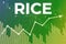 Price change on trading Rice futures on green finance background from graphs, charts, columns, candles, bars, numbers. Trend Up