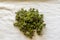 Prickly ash zanthoxylum green pepper berries or dambara seeds