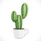 Prickly cactus planted in a white ceramic cup