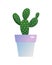 Prickly pear cactus houseplant in flowerpot