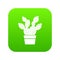 Prickly pear icon green vector