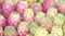 Prickly pears background