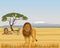 Pride lions in the savanna