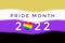 Pride month 2022 on non binary flag