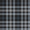 Pride of scotland platinum kilt tartan texture seamless pattern