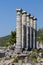 Priene columns