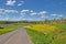 Prigorje region spring lanscape road