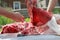 Primal cut of young lamb carcass with butcher knife