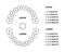 Primary tooth arrival chart. Child teeth dentition anatomy. Primary upper and lower jaw vector illustration. Child teeth