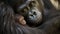 Primate Family Portrait: Gorilla and Chimpanzee in the Jungle generated by AI tool
