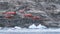Primavera station on a rocky slope at Cierva Cove, Antarctica